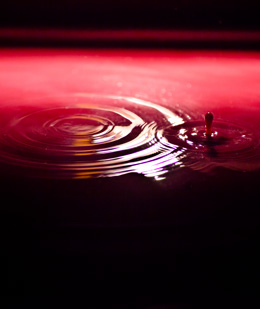 © BIVB / ARMELLEPHOTOGRAPHE.COM Red wine vinification. © BIVB / ARMELLEPHOTOGRAPHE.COM Red wine vinification.