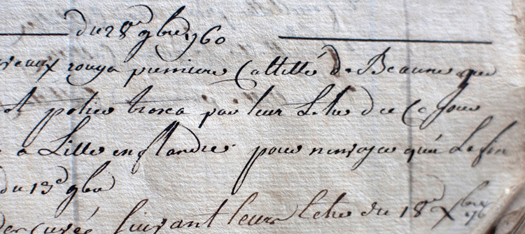 © BIVB / ARMELLEPHOTOGRAPHE.COM Cellar book