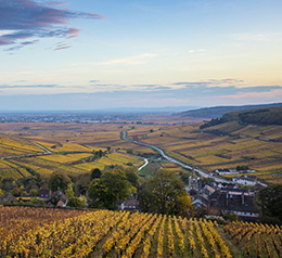 Landscape in the vineyard of Côte de Beaune - © BIVB / Aurélien Ibanez Landscape in the vineyard of Côte de Beaune - © BIVB / Aurélien Ibanez