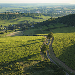Landscape in the vineyard of the Côte de Chalonnaise - © BIVB / Aurélien Ibanez Landscape in the vineyard of the Côte de Chalonnaise - © BIVB / Aurélien Ibanez