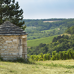 Cabotte in the winegrowing region of Chatillonnais - © BIVB / Aurélien Ibanez Cabotte in the winegrowing region of Chatillonnais - © BIVB / Aurélien Ibanez