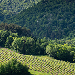 Landscape in the Hautes Côtes de Nuits - © BIVB / Michel Joly Landscape in the Hautes Côtes de Nuits - © BIVB / Michel Joly