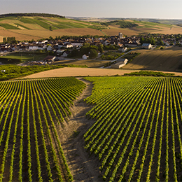 Village of Saint-Bris - © BIVB / Sébastien Boulard Village of Saint-Bris - © BIVB / Sébastien Boulard