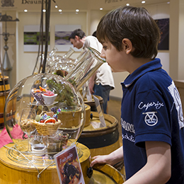 © BIVB / IBANEZ A.The Aroma Room © BIVB / IBANEZ A.The Aroma Room