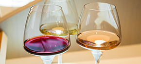 I’m looking for the best dishes to go with my wine I’m looking for the best dishes to go with my wine