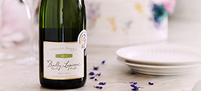 I’m looking for a wine for a particular occasion I’m looking for a wine for a particular occasion