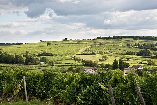 Bourgogne landscapes Bourgogne landscapes