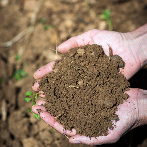 © BIVB / Michel Joly