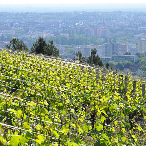 © All rights reserved