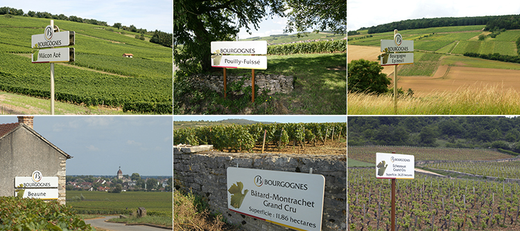 APPELLATION PANELS FOR BOURGOGNE WINES