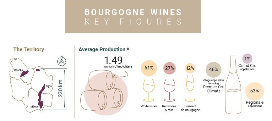 Bourgogne wines are the most exported in France