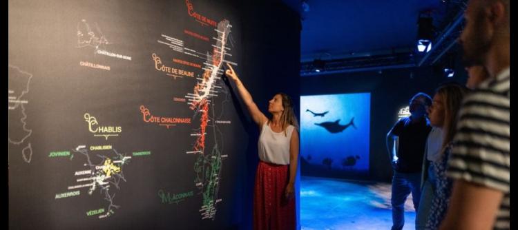 Winter programme at the Cité des Climats et vins de Bourgogne