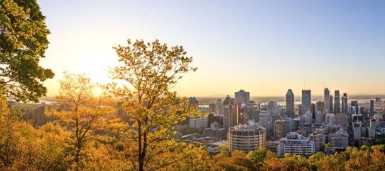 Canada : The 3rd Largest Export Market for Bourgogne Wines by Volume