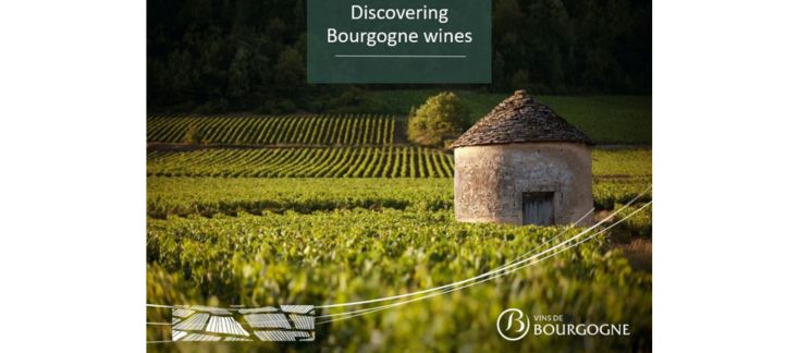Discovering Bourgogne wines - 2025