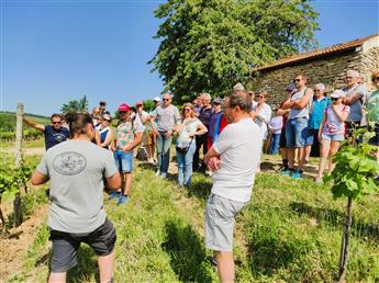 Portes ouvertes du domaine Thevenot Le Brun