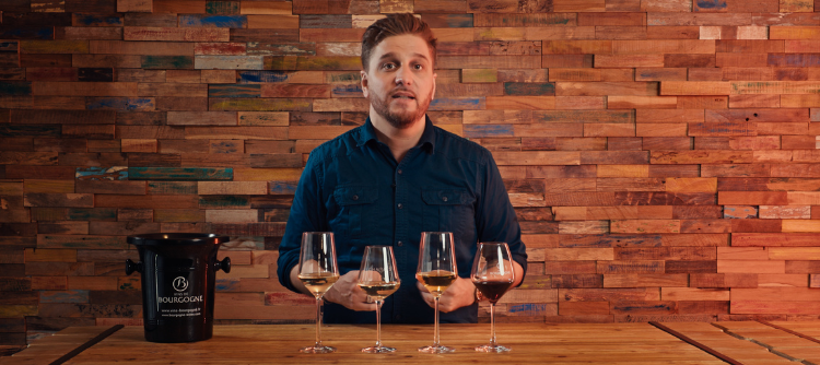 Burgundy wine tasting