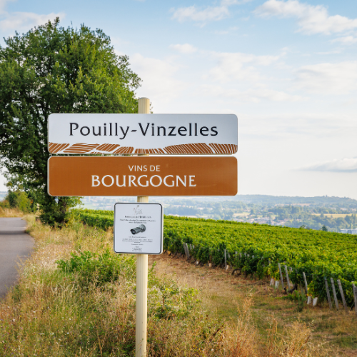 © BIVB / Aurélien Ibanez